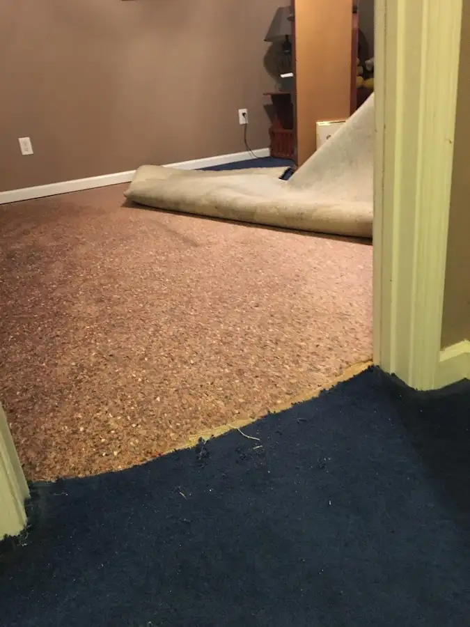 Carpet pad removal revealing water damage during Water Mitigation Services in Rostraver