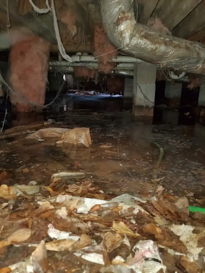 Crawl space flood assessment for Leak Detection & Repair in Rostraver